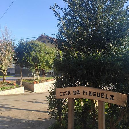 Casa Da Pinguela Camino Ingles Villa Ordes Eksteriør bilde